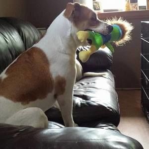 Meet your Posher, Joseph