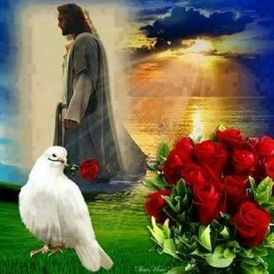 Meet your Posher, Antonia