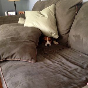 Meet your Posher, Abby