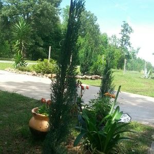 Meet your Posher, Mar?a