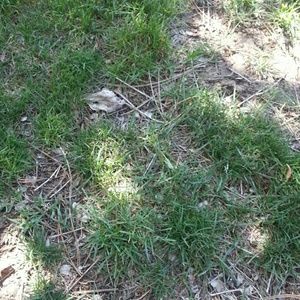 Meet your Posher, Myra