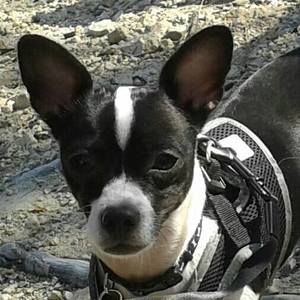 Meet your Posher, Tabitha