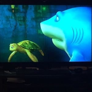 Meet your Posher, Janice