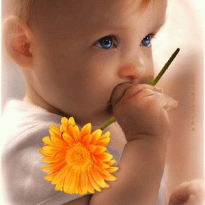 Meet your Posher, Mildred