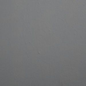 Meet your Posher, Evelyn