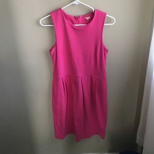 Pink JCrew Dress