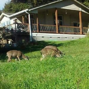 Meet your Posher, Araceli