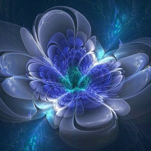 Meet your Posher, Ledeana