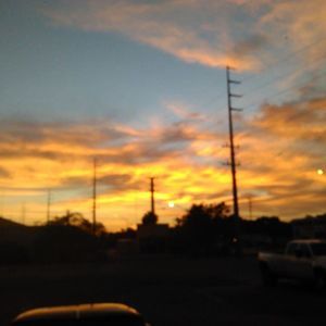 Meet your Posher, Shelly