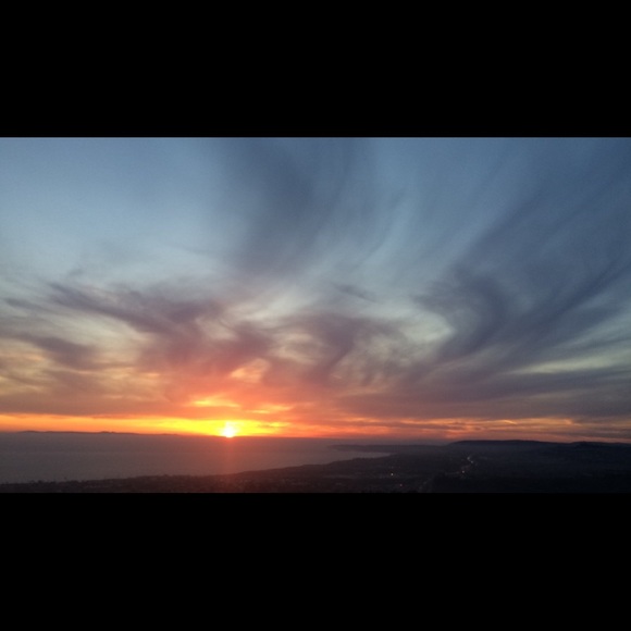 Meet your Posher, Rose