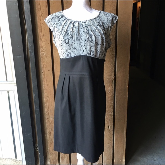 Black and Snakeskin Office Work Dress