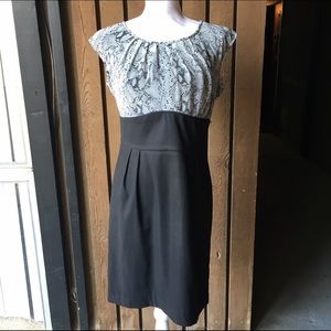 Black and Snakeskin Office Work Dress