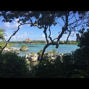 Meet your Posher, Anya