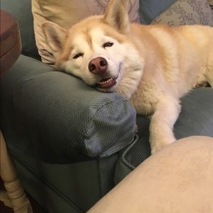 Meet your Posher, Charles