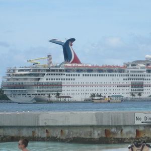 Meet your Posher, Bridgette