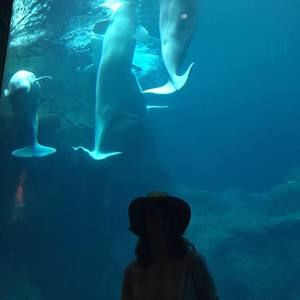 Meet your Posher, Riley