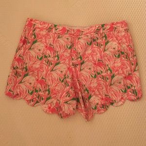 Buttercup short with flamingo print