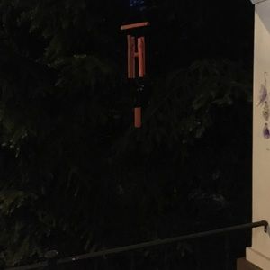 Meet your Posher, Buffy