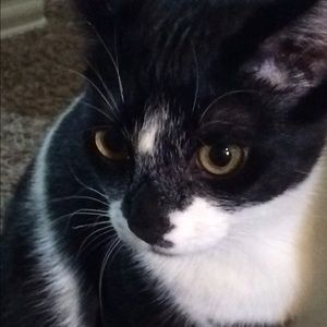 Meet your Posher, Michelle