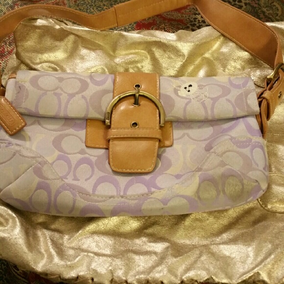 Small Coach Handbag