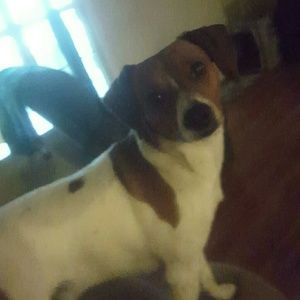 Meet your Posher, Patsy