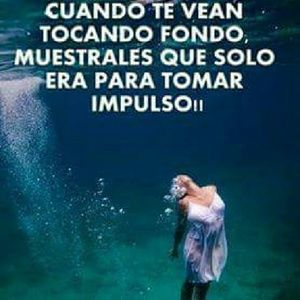 Meet your Posher, Reyna