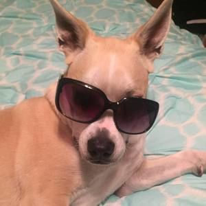 Meet your Posher, Danielle