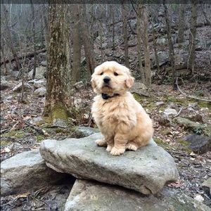 Meet your Posher, Leandra