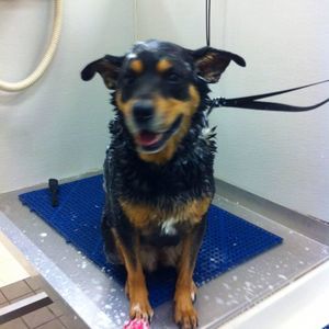 Meet your Posher, Deborah