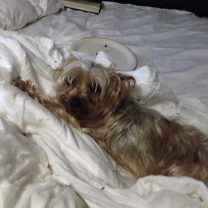 Meet your Posher, Alma