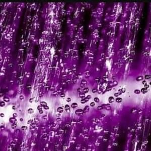 Meet your Posher, Kelle