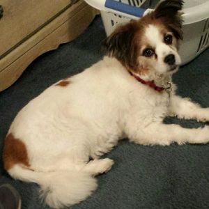 Meet your Posher, Janette