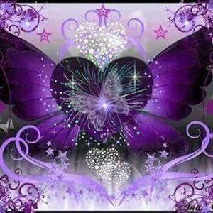 Meet your Posher, Anne