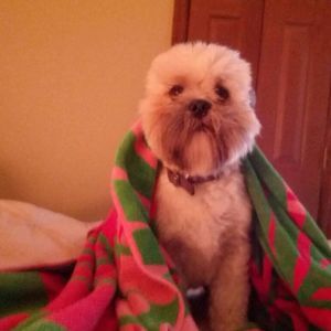 Meet your Posher, Kim