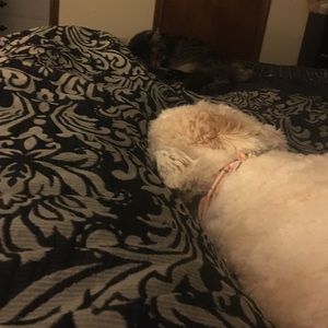 Meet your Posher, Jen