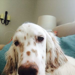 Meet your Posher, Ashlyn