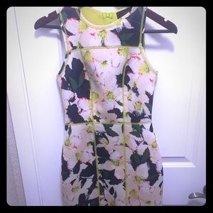 J. Crew scuba floral bodycon dress