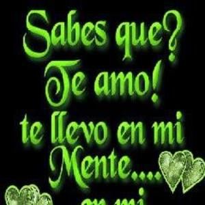 Meet your Posher, Elva