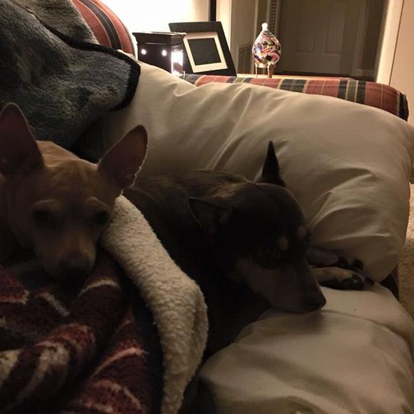 Meet your Posher, Shauna