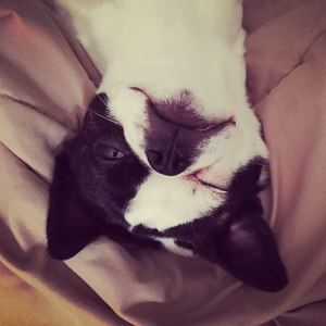 Meet your Posher, Michaella