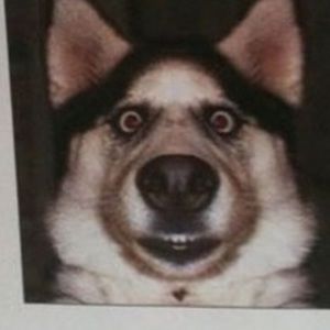 Meet your Posher, Quentin