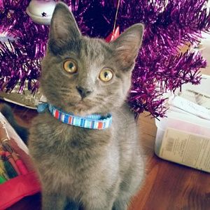 Meet your Posher, Mandy