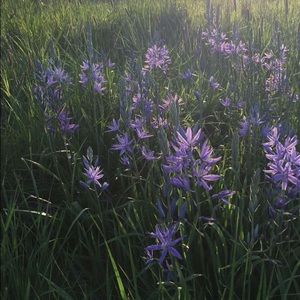 Meet your Posher, Keira