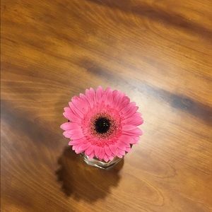 Meet your Posher, Lydia