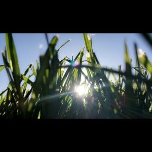 Meet your Posher, Brooklyn