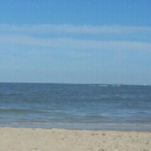 Meet your Posher, Janell