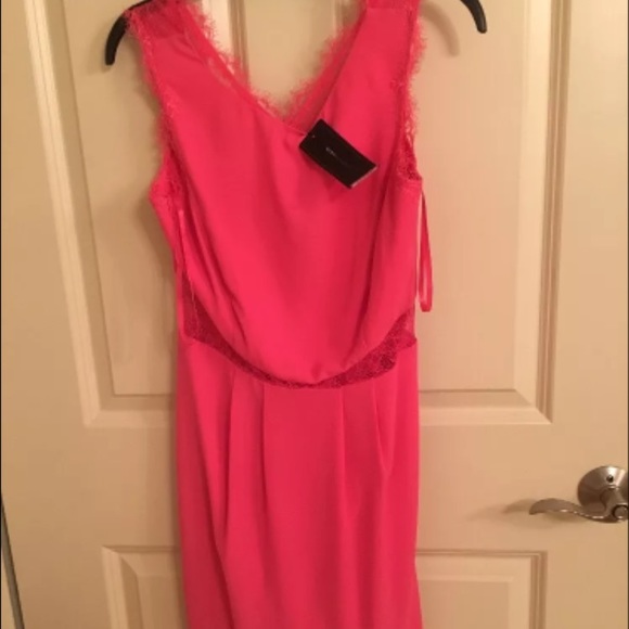 Pink with lace back dress. Brand new, never worn.