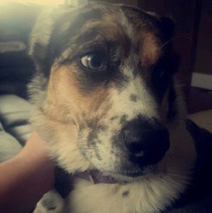 Meet your Posher, Kiana