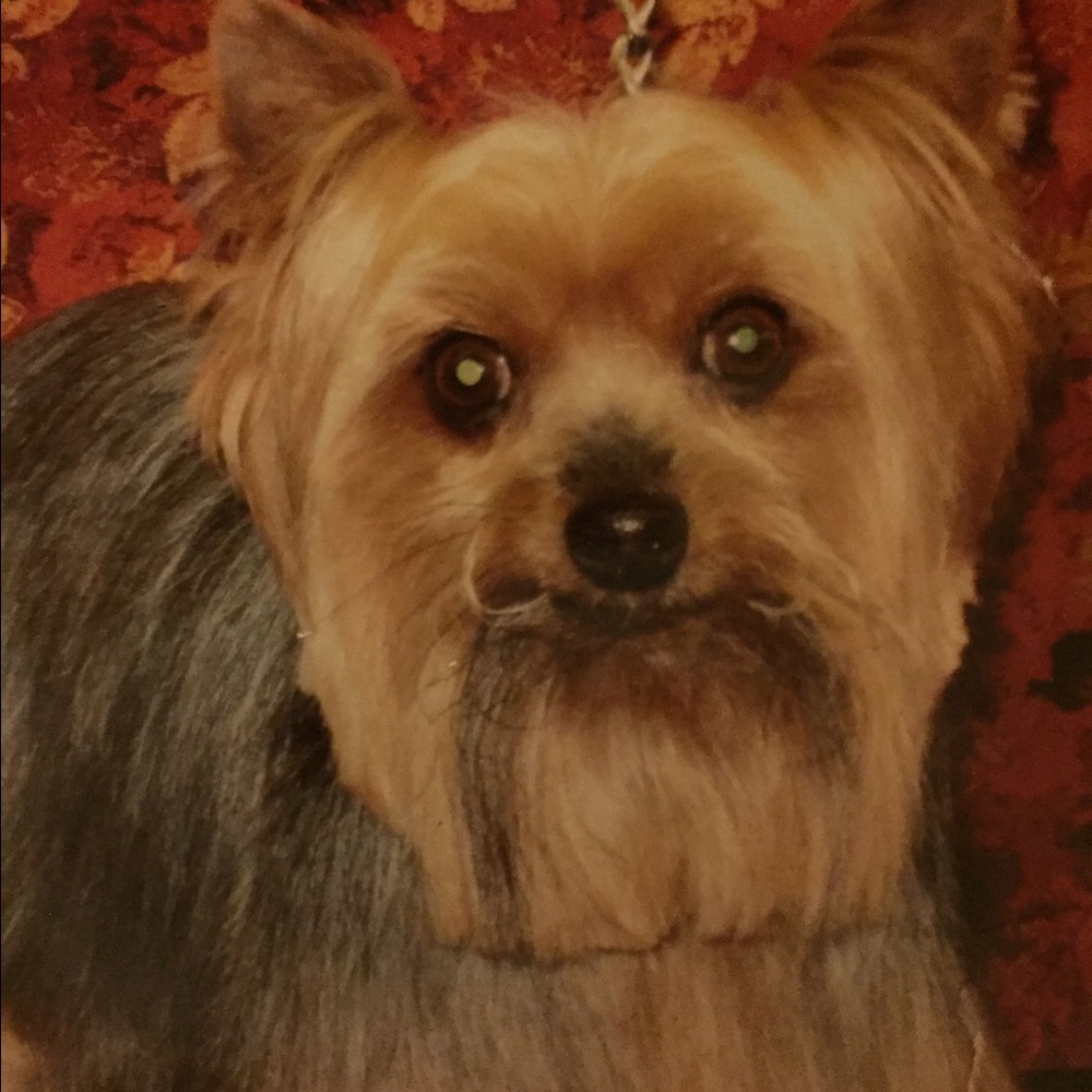 Meet your Posher, Nickco