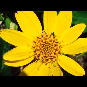 Meet your Posher, Kelley